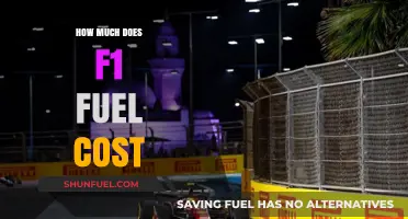 The High Cost of F1 Fuel: How Much?