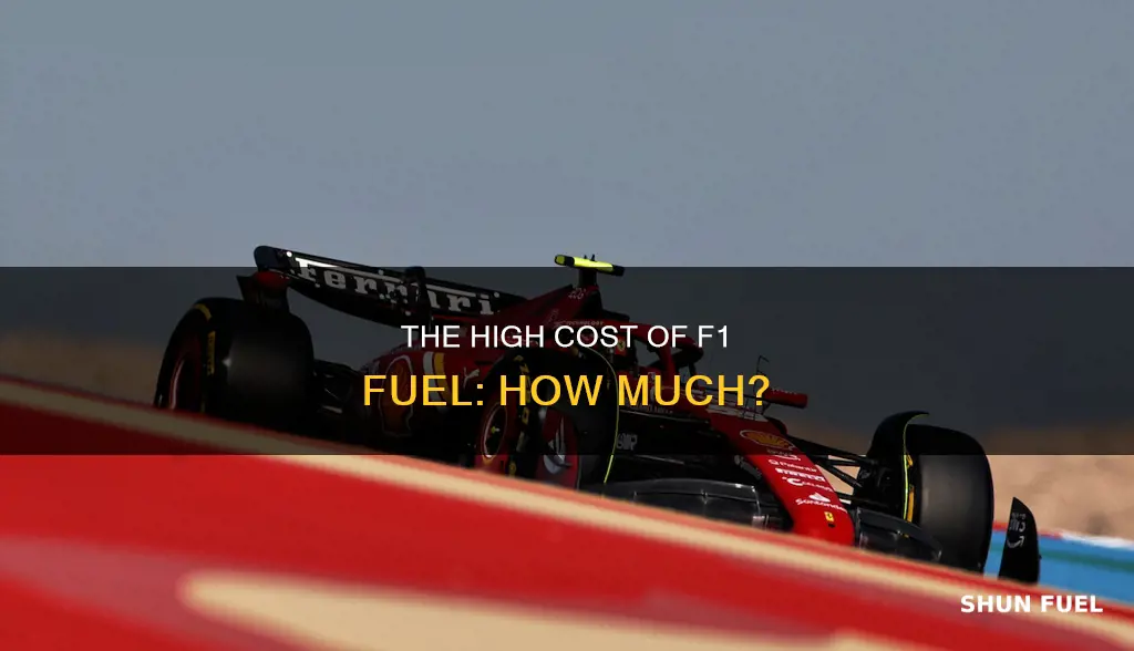 how much does f1 fuel cost