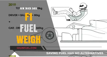 The Weight of F1 Fuel: How Much Does It Affect Performance?