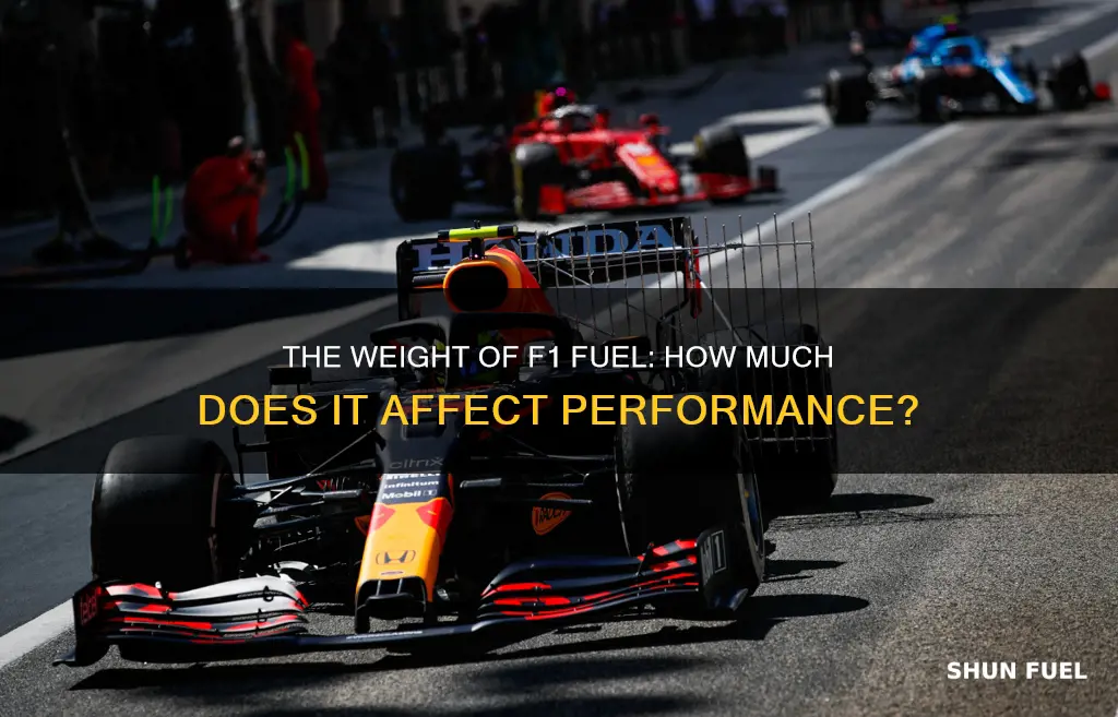 how much does f1 fuel weigh