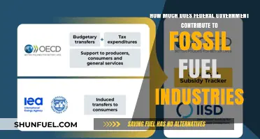 Fossil Fuel Funding: Federal Government Contributions