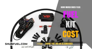 The Cost of Flex Fuel Conversion Kits Explained