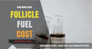 Follicle Fuel: Cost and Value Analysis