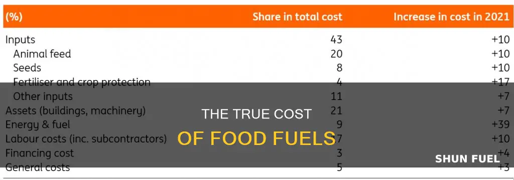 how much does food fuels cost
