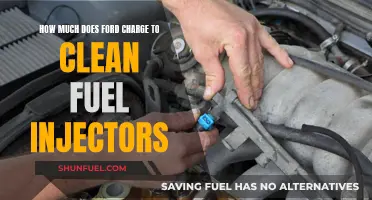 Ford Fuel Injector Cleaning: Cost and Service