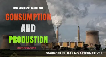 The Cost of Fossil Fuel Consumption and Production