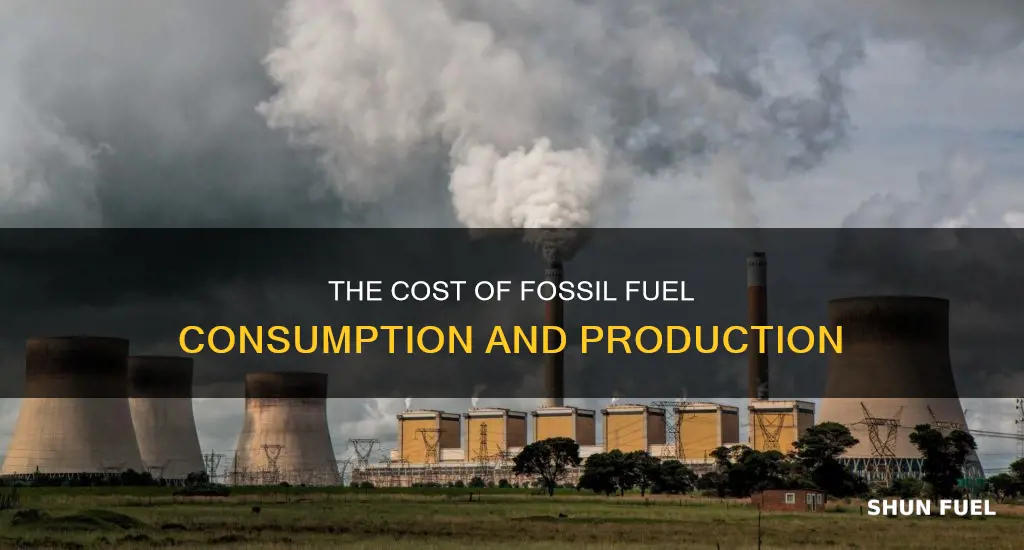 how much does fossil fuel consumption and produstion