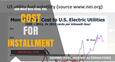 Fossil Fuel Installation: The High Cost of Fossil Fuels