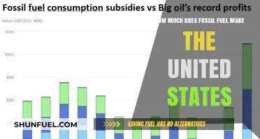 Fossil Fuel: America's Energy and Economy