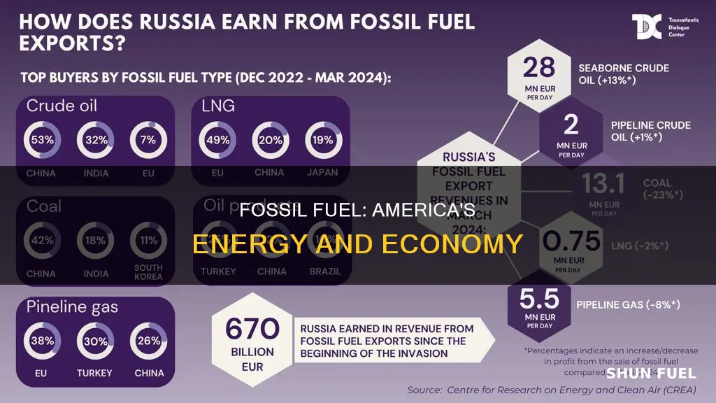 how much does fossil fuel make the united states