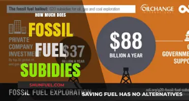 The True Cost of Fossil Fuel Subsidies