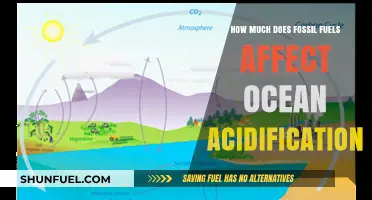 The Impact of Fossil Fuels on Ocean Acidification