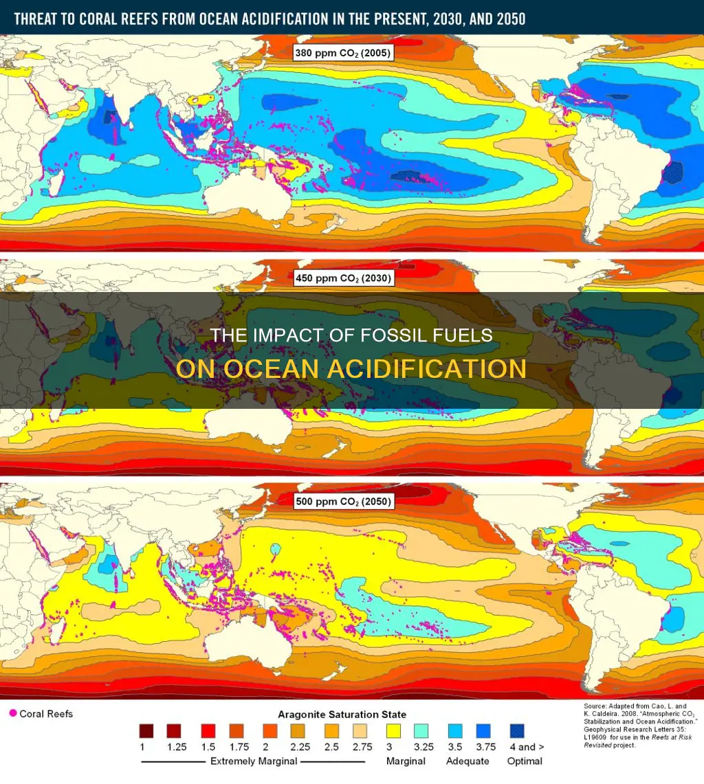 how much does fossil fuels affect ocean acidification