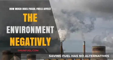 Fossil Fuels: Damaging Our Planet, Our Future
