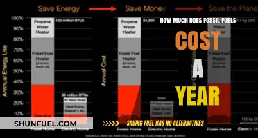 Annual Fossil Fuel Costs: A Breakdown of Global Expenses