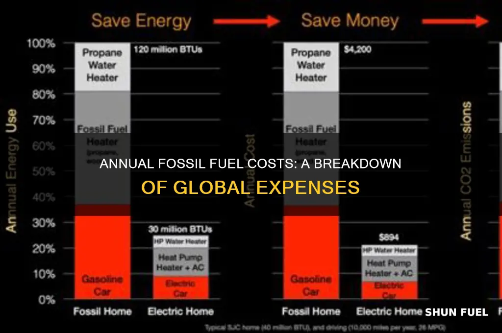 how much does fossil fuels cost a year