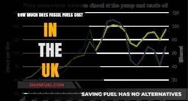The True Cost of Fossil Fuels in the UK