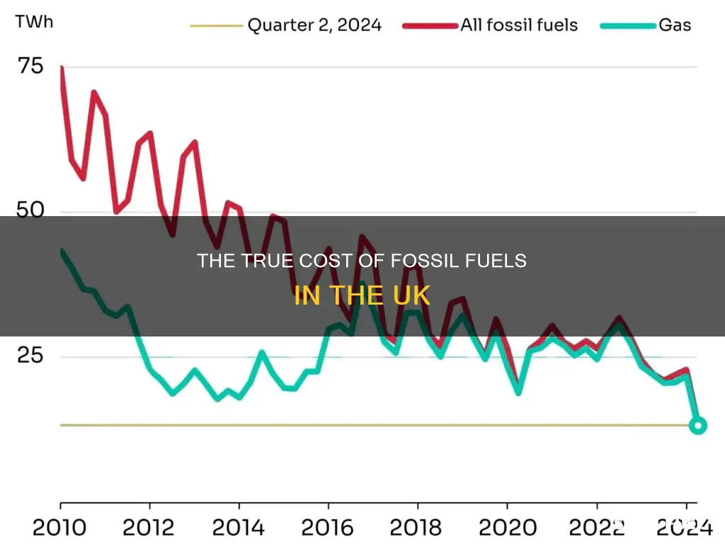 how much does fossil fuels cost in the uk