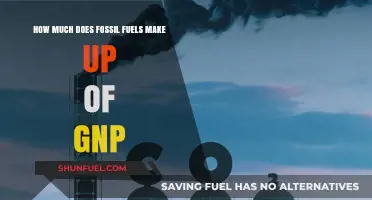 Fossil Fuels: What Percentage of GNP?