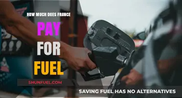Fuel Costs in France: How Much Do They Pay?
