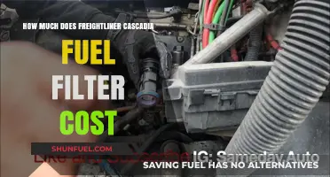 Freightliner Cascadia Fuel Filter Cost: How Much?