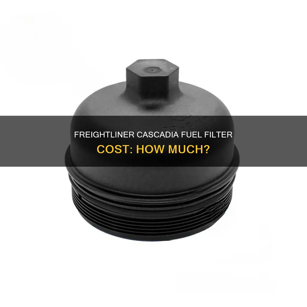 how much does freightliner cascadia fuel filter cost