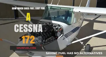 Fuel Costs for Cessna 172: How Much?
