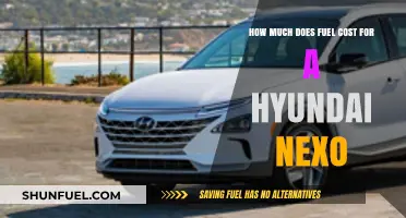 Hyundai Nexo: Fuel Costs and Efficiency