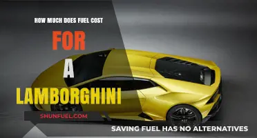 Lamborghini Fuel Costs: Expensive to Fill Up?