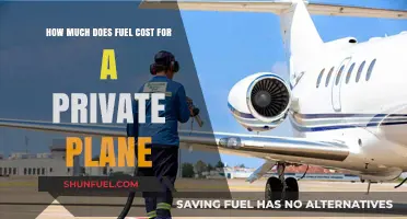 Fuel Costs for Private Planes: How Much Do They Burn?