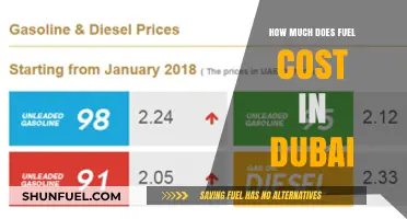 Dubai Fuel Costs: How Expensive is Filling Up?