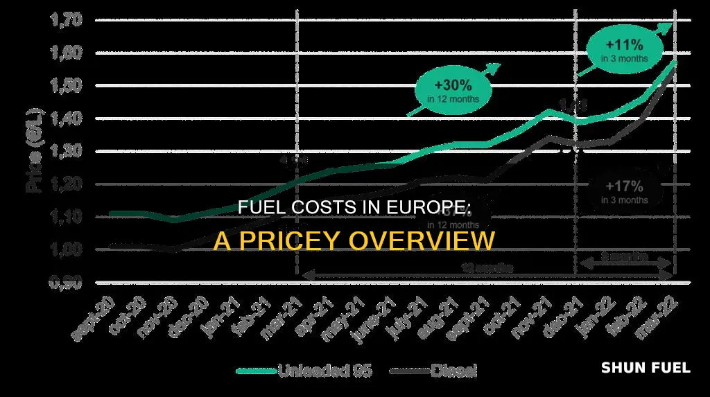 how much does fuel cost in europe