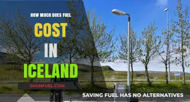 Fuel Costs in Iceland: A Traveler's Guide