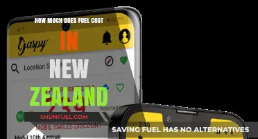Fuel Costs in New Zealand: A Breakdown
