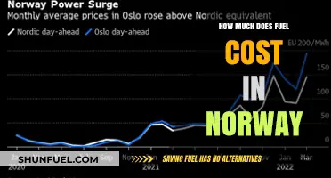 Fuel Costs in Norway: A Comprehensive Overview