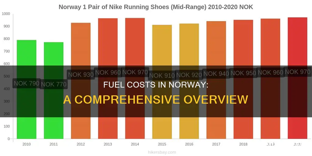 how much does fuel cost in norway