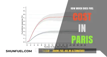 Fuel Costs in Paris: A Traveler's Guide