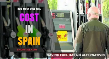 Fuel Costs in Spain: A Detailed Overview