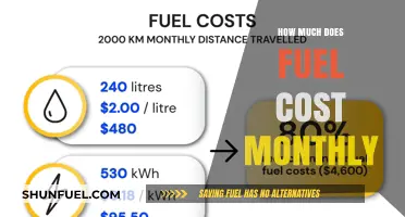 Fuel Costs: Monthly Expenses Explored