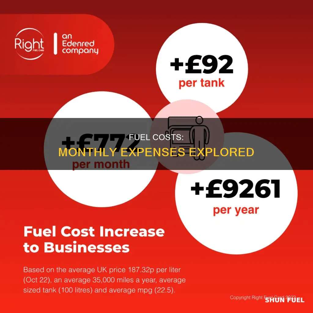 how much does fuel cost monthly