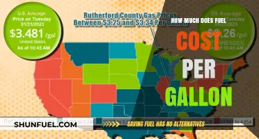 Fuel Prices: Cost per Gallon Explored