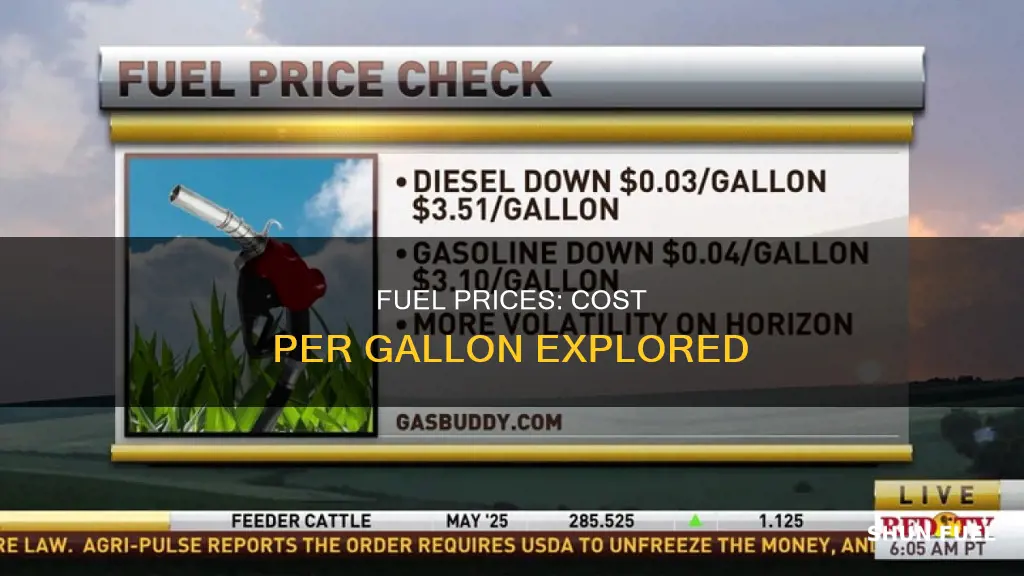 how much does fuel cost per gallon