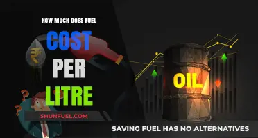 Fuel Prices: Cost per Litre Explored