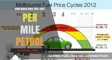Fuel Costs: Understanding Petrol Prices by Mile