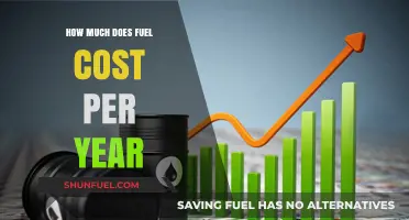 Fuel Costs: Annual Expenses and Factors