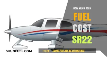 Fuel Costs for SR22: How Expensive Is It?