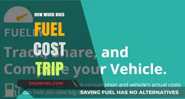 Fuel Costs: Planning a Trip on a Budget