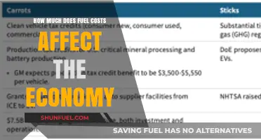 Fuel Costs: Impacting the Economy and Our Wallets