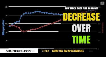 Fuel Efficiency: Degradation and Maintenance