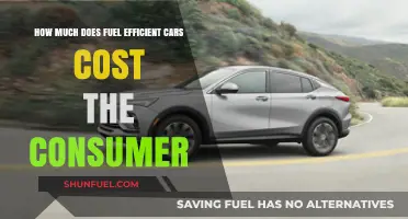 Fuel Efficiency: The True Cost of Owning a Car